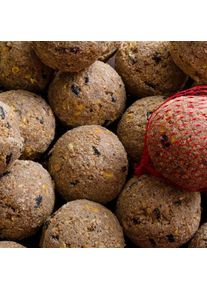 Meisenknödel Premium hyönteisillä 200 x n. 90 grammaa verkolla
