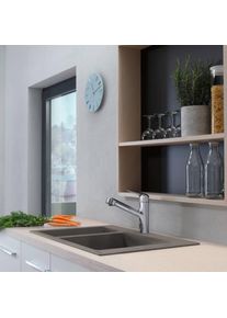 Hansgrohe S51 &Eacute;vier de cuisine, 43315290, S510-F635