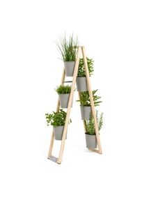 Échelle pour plantes d'intérieur et d'extérieur