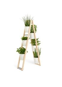 Échelle pour plantes d'intérieur et d'extérieur