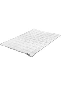 Badenia Bettcomfort Badenia Trendline, Duvet, Clean Cotton (750 g, 160 x 210 cm)