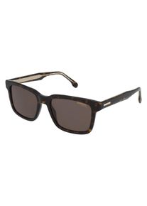 Carrera 251/S Mannen Zonnebril, havana