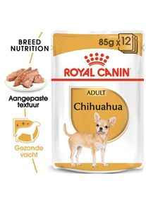 Royal Canin Chihuahua Adult Mousse 12x85 g