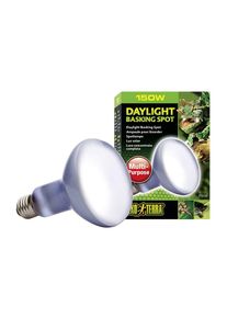 EXO TERRA ExoTerra Daylight Basking Spot 75 W