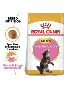 Royal Canin Maine Coon Kitten 4 kg