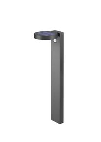 REALITY LEUCHTEN Borne de jardin LED solaire avec détecteur de mouvement POSADAS