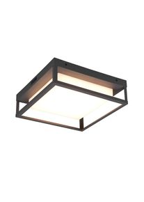 Trio Plafonnier LED WITHAM