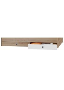 wimex Lot de 2 tiroirs de lit TIGRE
