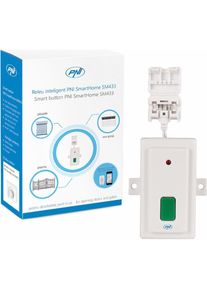 PNI Intelligentes Relais SmartHome SM433 zum Öffnen von Toren und Türen mit manueller oder Internetb, Smart Home Hub