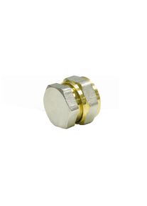 Boni-Shop® Bouchon Fileté 20mm pour Tube Multicouche