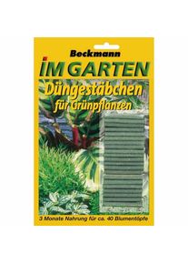 BECKMANN&BREHM Bâtonnets d'Engrais Longue Durée pour Plantes Vertes & Palmiers, 40 Pièces