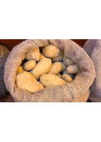 Sacs de Jute Robustes 60x100 cm - Kit de 3, Sacs de Jardin et de Stockage