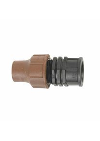 Rain Bird Raccord Arrosage 16mm avec Filetage 3/4" - Connecteur de Tuyau Durable