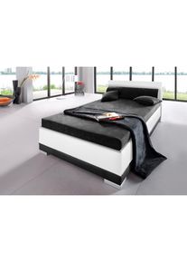 Maintal , Polsterbett Kunstleder, in 6 verschiedenen Ausführungen, Made in Germany , weiß/schwarz
