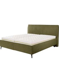 Alina , Stauraumbett &raquo;Serina Comfort&laquo; inkl. Lattenrost, diverse Ausf&uuml;hrungen , olivgr&uuml;n TCM 333 , Liegefl&auml;che L&auml;nge Breite: 200 cm x 160 cm