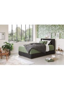 COTTA , Boxbett &raquo;Beetle&laquo; inkl. Topper und Bettkasten , black