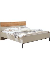 Wiemann, Futonbett &raquo;Asti&laquo; Absetzungen in Bianco-Eiche-Nachbildung, Kufe in Schiefer, Champagner-Dekor + Absetzungen in Bianco-Eiche-Nachbildung + 