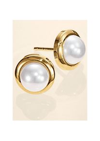 Lady , Damen , Paar Ohrstecker , gelbgold 585 , in 2 Legierungen erhältlich