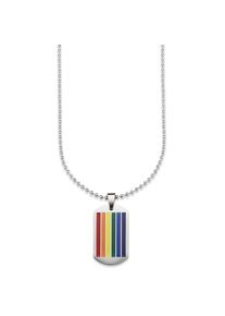 Bruno Banani , Kette mit Anhänger »Schmuck Geschenk Halskette Regenbogen Dog Tag, Kugelkette«, mit Epoxidharz , edelstahlfarben , Maskuline...