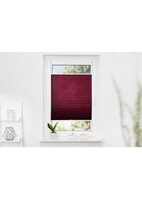 K-home , Plissee »Klemmfix Pisa« Lichtschutz ohne Bohren verspannt Crushed-Optik , bordeaux , Obermaterial: 100% Polyester , 130 cm