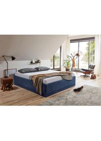 Westfalia Schlafkomfort, Polsterbett &raquo;Texel&laquo; Komforth&ouml;he mit Zierkissen, Bettkasten bei Ausf&uuml;hrung mit Matratze, navy, Bezug Bett: Veloursstoff 100% 