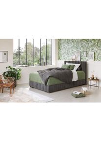 COTTA , Boxbett &raquo;Beetle&laquo; inkl. Topper und Bettkasten , anthracite