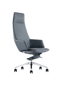 Salesfever , Chefsessel, Echtleder, Bezug aus italienischem Echtleder , Schwarz/Silber + Silber