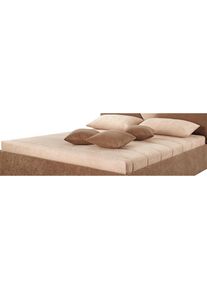 Westfalia Schlafkomfort , Tagesdecke , beige , B/L: 230 cm x 220 cm