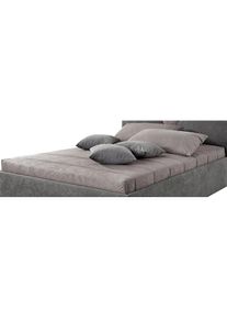 Westfalia Schlafkomfort , Tagesdecke , grau , B/L: 190 cm x 220 cm