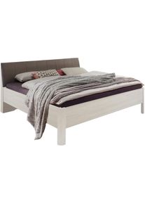 Wiemann, Polsterbett &raquo;Bern&laquo; 4-fach Liegeh&ouml;henverstellung, Polarl&auml;rche-Dekor + Polarl&auml;rche-Dekor + Polarl&auml;rche-Dekor, Liegefl&auml;che L&auml;nge Breite: 200 cm 