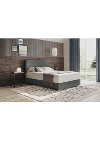 Mr. Couch, Boxbett &raquo;Stratus 2&laquo; inkl. Bettkasten und Matratze, Velvet 96 anthrazit, 100% Polyester, Samtstoff Velvet, Velvet 96 anthrazit