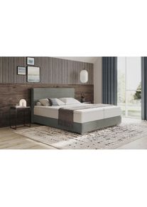 Mr. Couch , Boxbett &raquo;Stratus 2&laquo; inkl. Bettkasten und Matratze , Velvet 91 stone