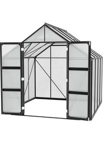 Vitavia, Gew&auml;chshaus &raquo;Domus 6700&laquo; mit Doppelschwingt&uuml;ren und bodentiefer T&uuml;rschwelle, 6 mm Hohlkammer, schwarz, B/H/T: 257 cm x 253,9 cm x 263 cm, 