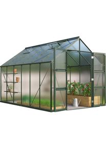 Vitavia, Gew&auml;chshaus &raquo;Domus 9900&laquo; mit Doppelschwingt&uuml;ren und bodentiefer T&uuml;rschwelle, 4 mm Hohlkammer, smaragdgr&uuml;n, B/H/T: 257 cm x 253,9 cm x 387 cm,