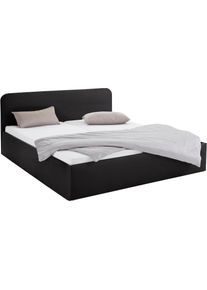 Westfalia Schlafkomfort, Polsterbett inkl. Bettkasten bei Ausf&uuml;hrung mit Matratze, schwarz, Bezug Bett: wahlweise Microfaser (100% Polyester), 