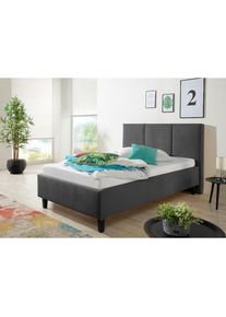 Maintal, Polsterbett inklusive Bettkasten, anthrazit, Liegefl&auml;che L&auml;nge Breite: 200 cm x 120 cm, anthrazit