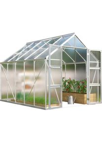 Vitavia, Gew&auml;chshaus &raquo;Domus 8300&laquo; mit Doppelschwingt&uuml;ren und bodentiefer T&uuml;rschwelle, 4 mm Hohlkammer, silberfarben, B/H/T: 257 cm x 253,9 cm x 325 cm