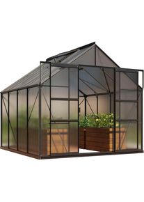 Vitavia, Gew&auml;chshaus &raquo;Mars 6700&laquo; Alu-Profile, 4 mm Hohlkammerplatten, schwarz, B/H/T: 257 cm x 231,8 cm x 258 cm, schwarz