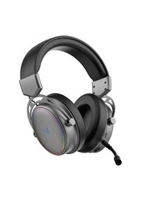 RAPOO , Gaming-Headset »VH800«, Mikrofon abnehmbar-Geräuschisolierung , grau , 40-mm-Lautsprecher mit Graphen-Membran