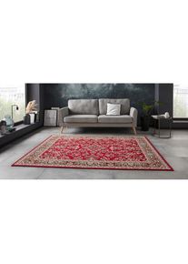 Hanse Home, Teppich &raquo;Halton&laquo; rechteckig 8 mm H&ouml;he Kurzflor, Orient-Optik, mit Bord&uuml;re, L&auml;ufer, pflegeleicht, gekettelt, rot, Polypropylen (PP), B : 80