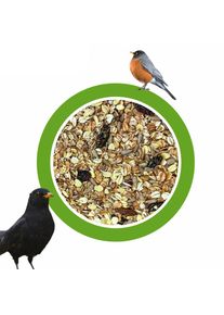20kg Premium Flocken-Fettvoer met geschilde zonnebloempitten en rozijnen