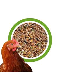 25 kg Premium Korrelsvoer PLUS Gevogeltevoer voor Kippen, Ganzen, Eenden