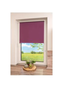 K-home, Seitenzugrollo &raquo;Thermo Klemmfix-Rollo&laquo; verdunkelnd energiesparend ohne Bohren 1 St&uuml;ck, beere, Polyester, 150 cm, beere