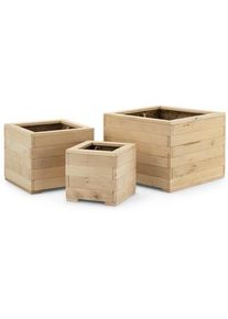 Dennenhouten plantenbak set van drie