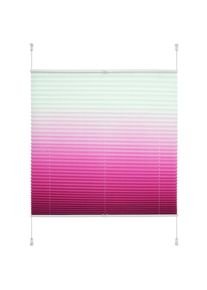 Liedeco , Plissee »Farbverlauf« Lichtschutz ohne Bohren verspannt , beere , Obermaterial: 100% Polyester , 130 cm