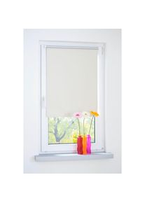 Liedeco , Seitenzugrollo, blickdicht, energiesparend, ohne Bohren , creme , 150 cm