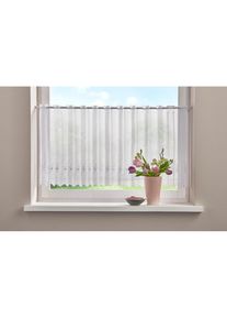 Home Affaire , Scheibengardine »Sunny«, (1 St.), transparent, florales Design mit Lochstickerei, Voile , weiß , 45 cm