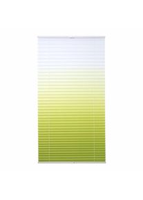 Liedeco , Plissee »Farbverlauf« Lichtschutz ohne Bohren verspannt , grün , Obermaterial: 100% Polyester , 130 cm