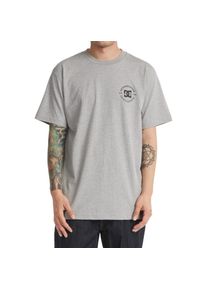 DC Shoes , Damen , T-Shirt »DC Star Pilot« , Heather Grey , S , S , Stoff: BaumwollStoff [200 g/m2]