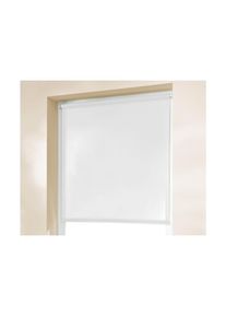 K-home , Seitenzugrollo »Thermo Klemmfix-Rollo«, verdunkelnd, energiesparend, ohne Bohren, 1 Stück , weiß , 150 cm